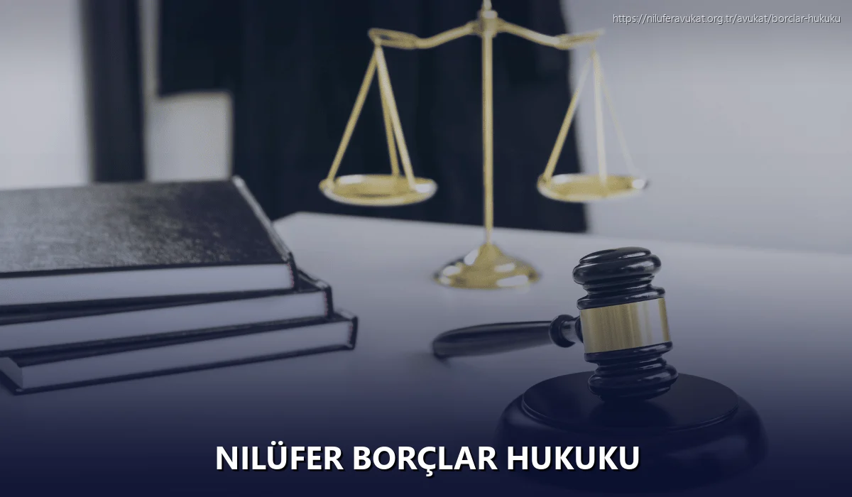 Nilüfer Borçlar Hukuku