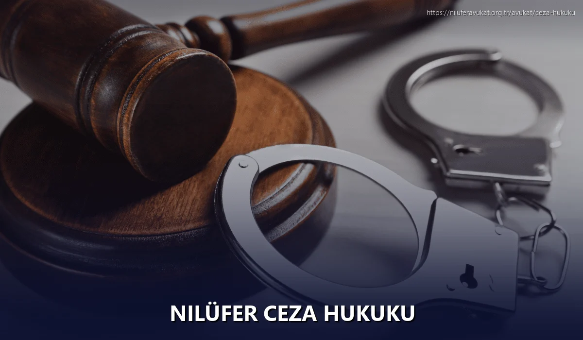 Nilüfer Ceza Hukuku