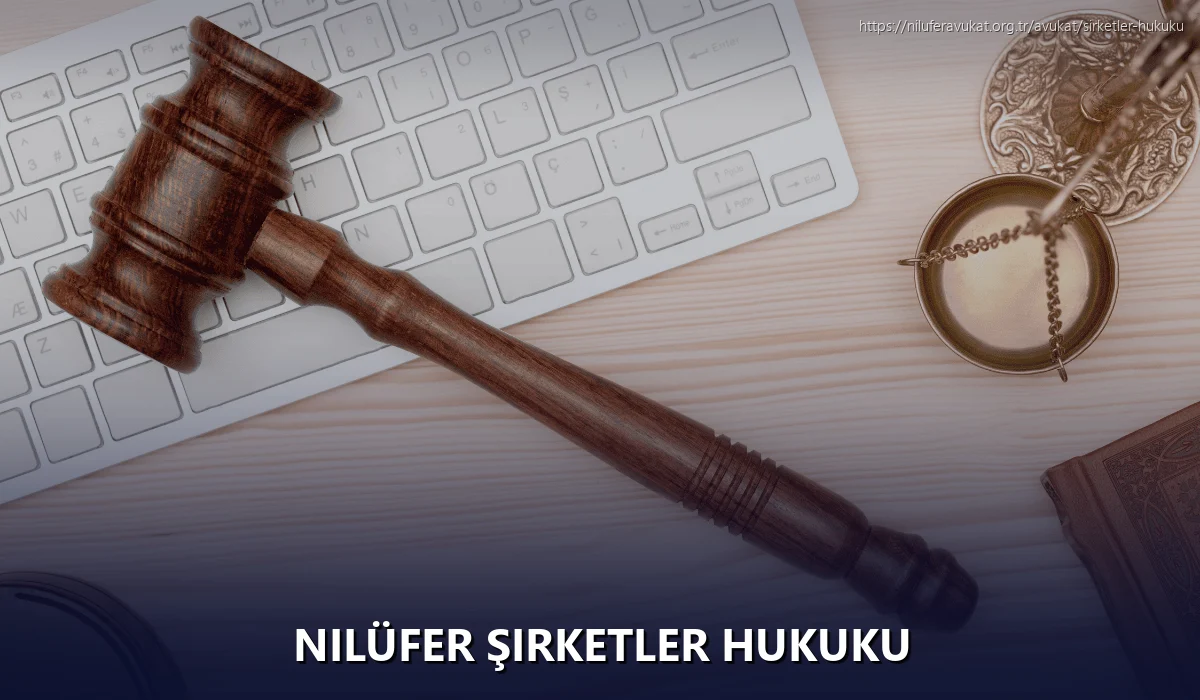 Nilüfer Şirketler Hukuku
