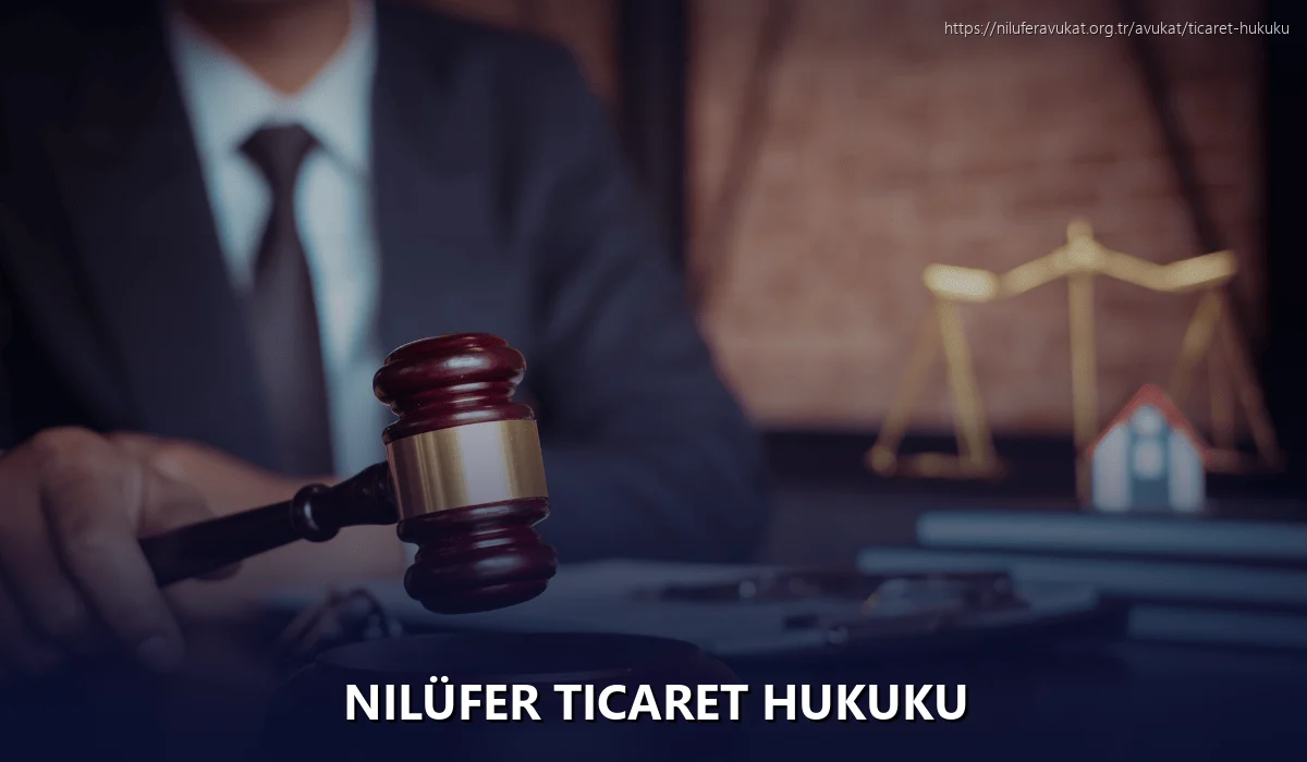 Nilüfer Ticaret Hukuku