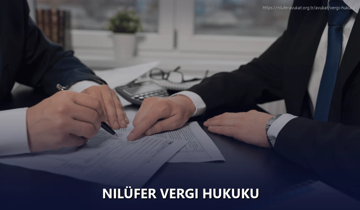 Nilüfer Vergi Hukuku